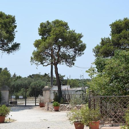 Masseria Belvedere Lizzano  Ngoại thất bức ảnh